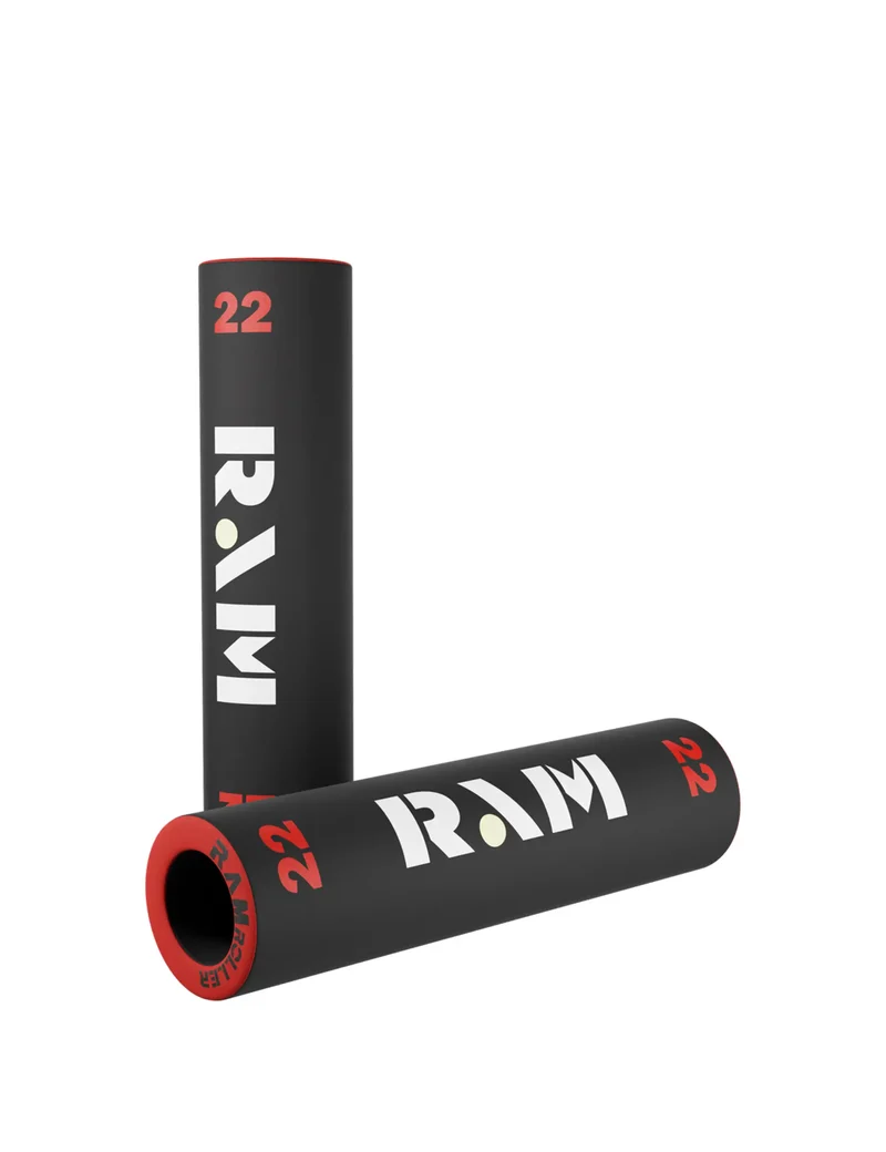 RAM