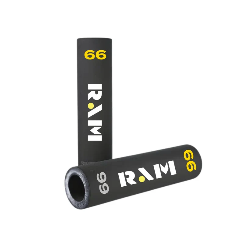 RAM