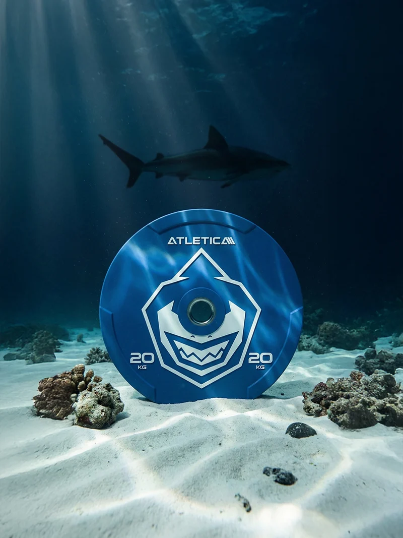 Animal Bumper Plates | SET