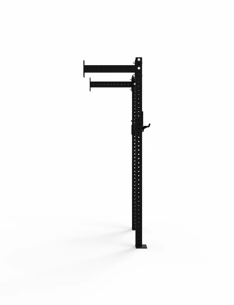CWR-1 Wallmount Home Gym