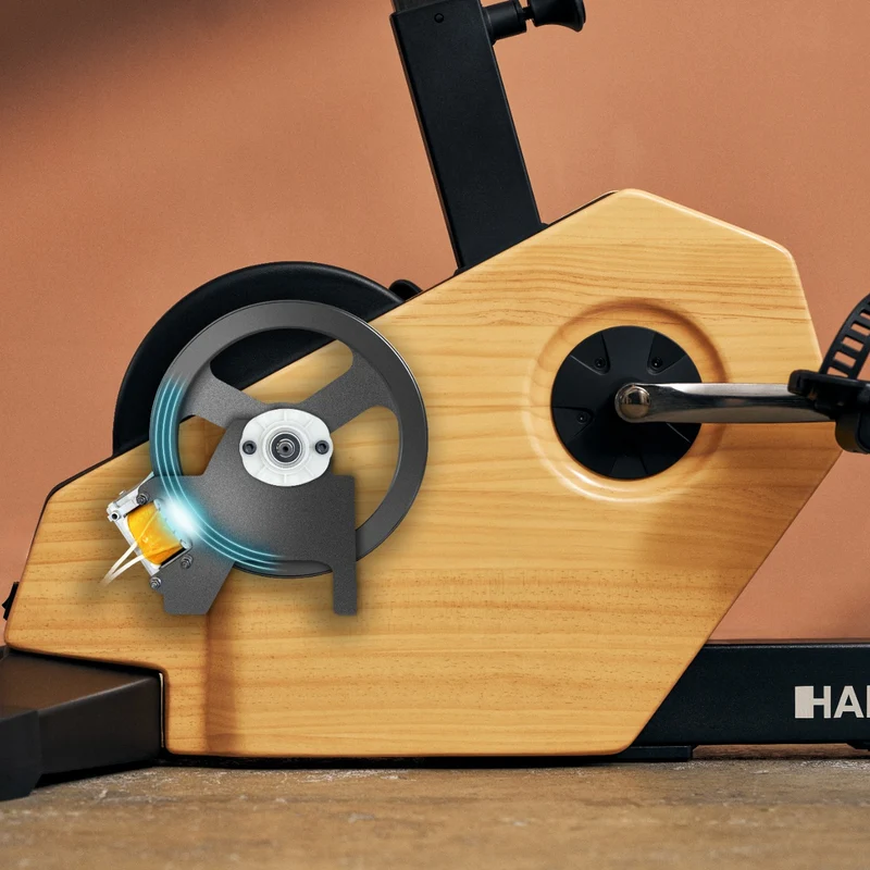 HAMMER MAXIMUM Spheris 4.0 Ergometer