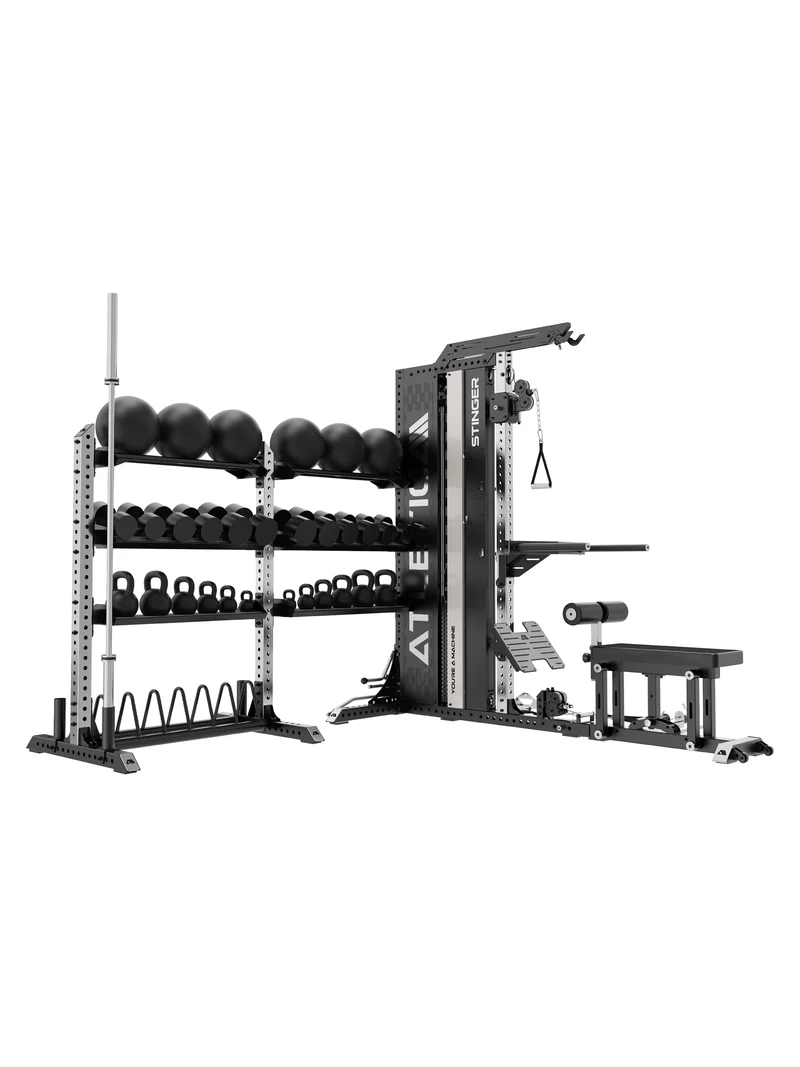 Stinger Storage I Doppel