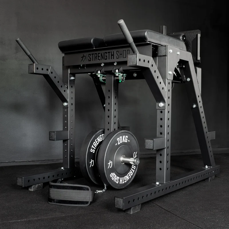 Reverse Hyper / GHD Combo Machine