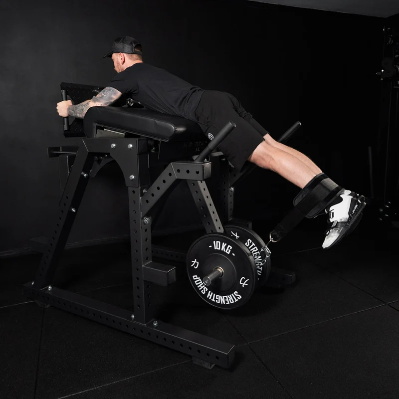Reverse Hyper / GHD Combo Machine