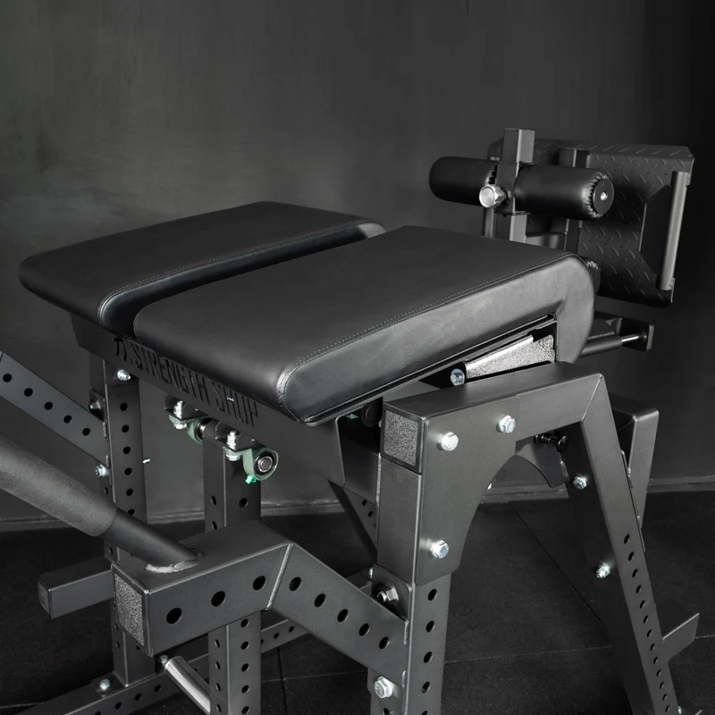 Reverse Hyper / GHD Combo Machine