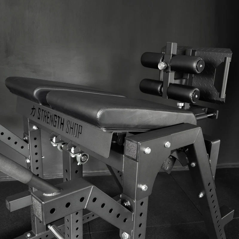 Reverse Hyper / GHD Combo Machine