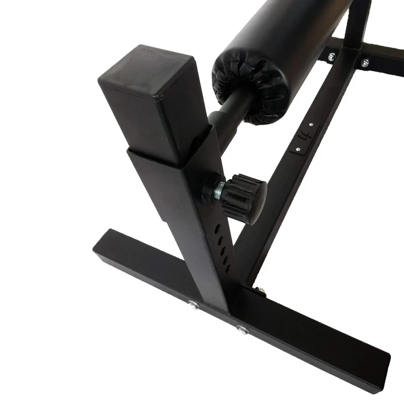 Bulgarian Single Leg Squat Stand