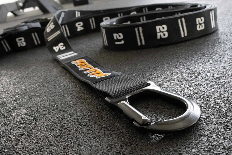 Gymnastic Rings and Straps - FinalRep Approved