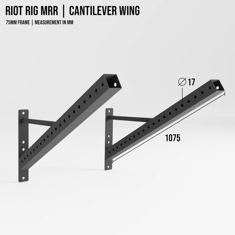 Riot Rig MRR | Cantilever Wing