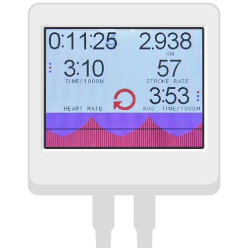 ThoraxTrainer Ski-Ergometer Pro Cardio