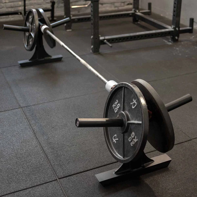Silver Dollar Deadlift Attachments, Pair