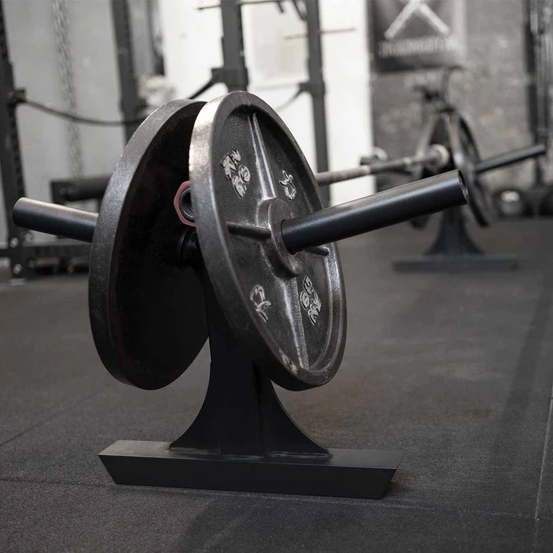 Silver Dollar Deadlift Attachments, Pair