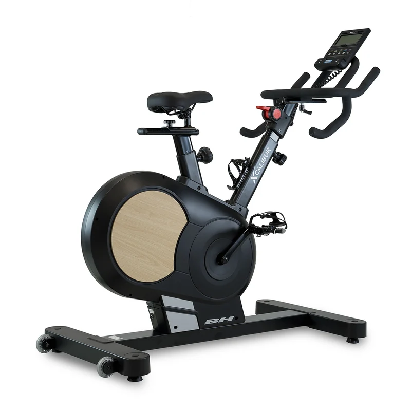 BH Fitness Xcalibur Magnetic Indoor Bike