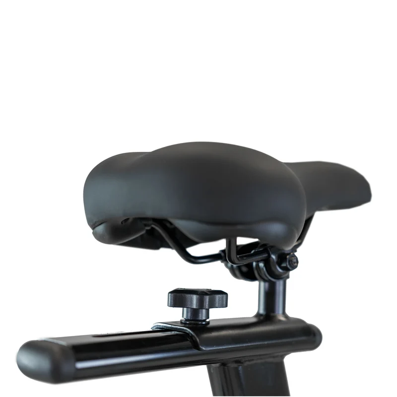 BH Fitness Xcalibur Magnetic Indoor Bike
