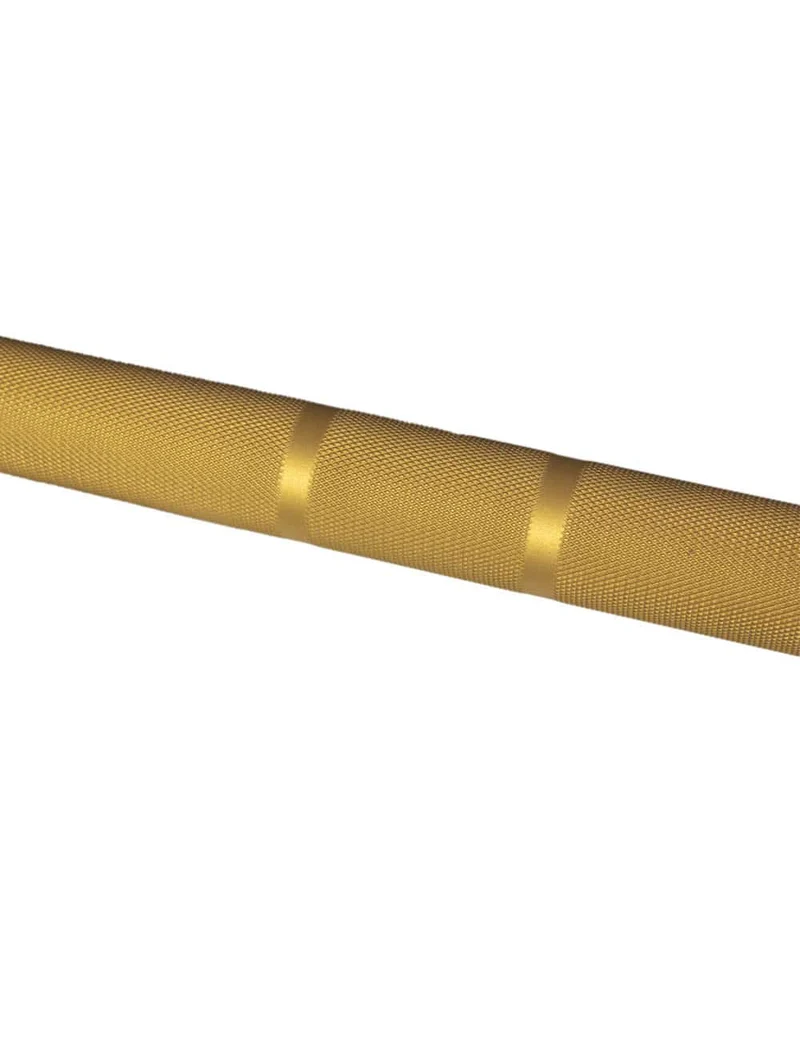 Multisports Bar 20kg Farbig