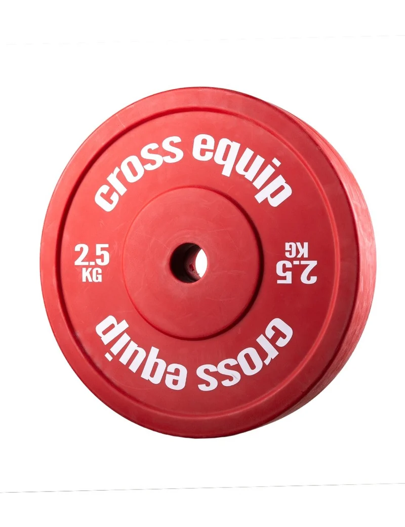 Full Size Technique Plate 2.5kg