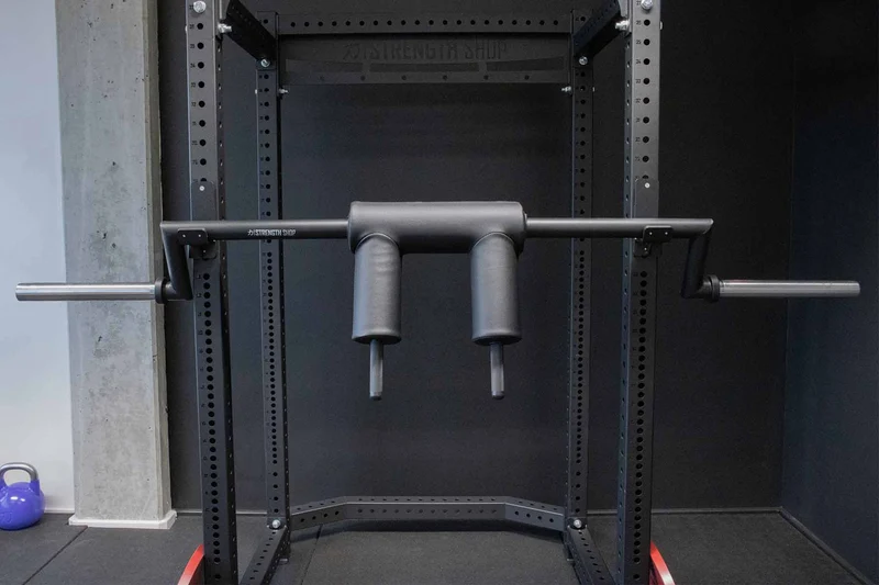 Riot Olympic Safety Squat Bar