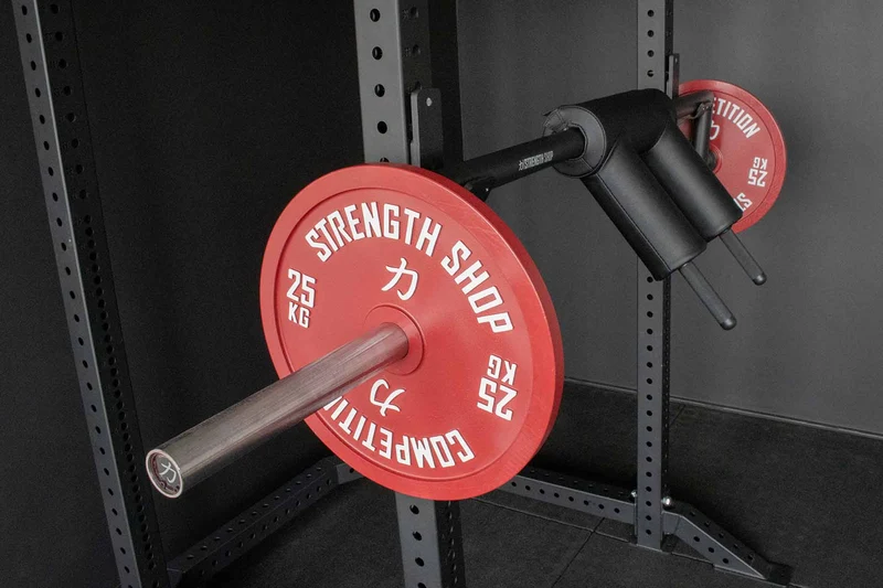 Riot Olympic Safety Squat Bar