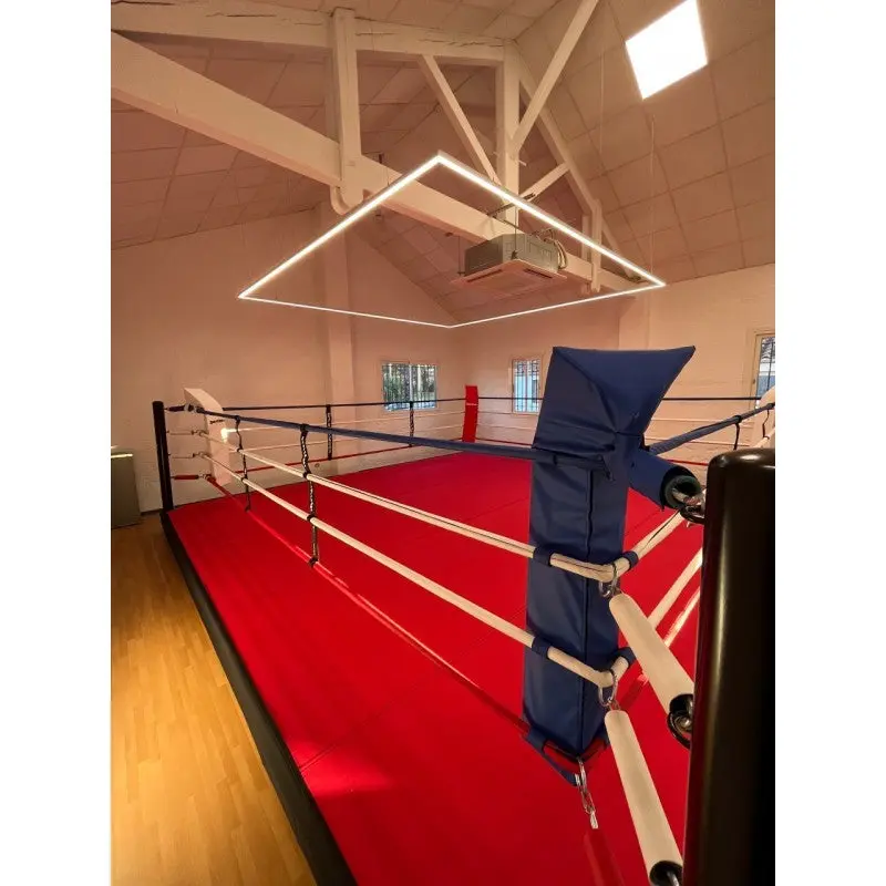 Pro-Trainingsboxring mit 30 cm Podium