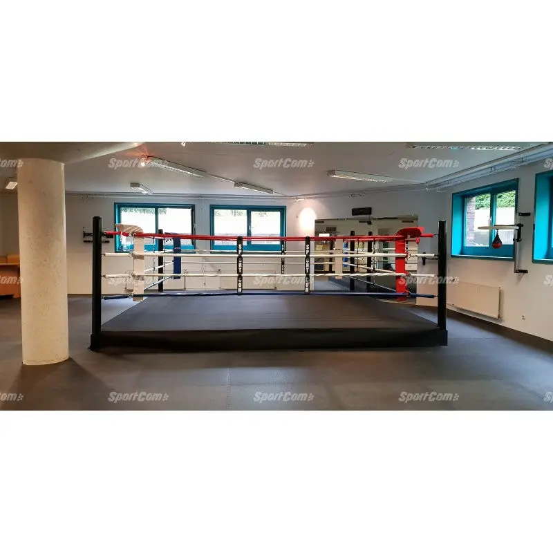 Pro-Trainingsboxring mit 30 cm Podium