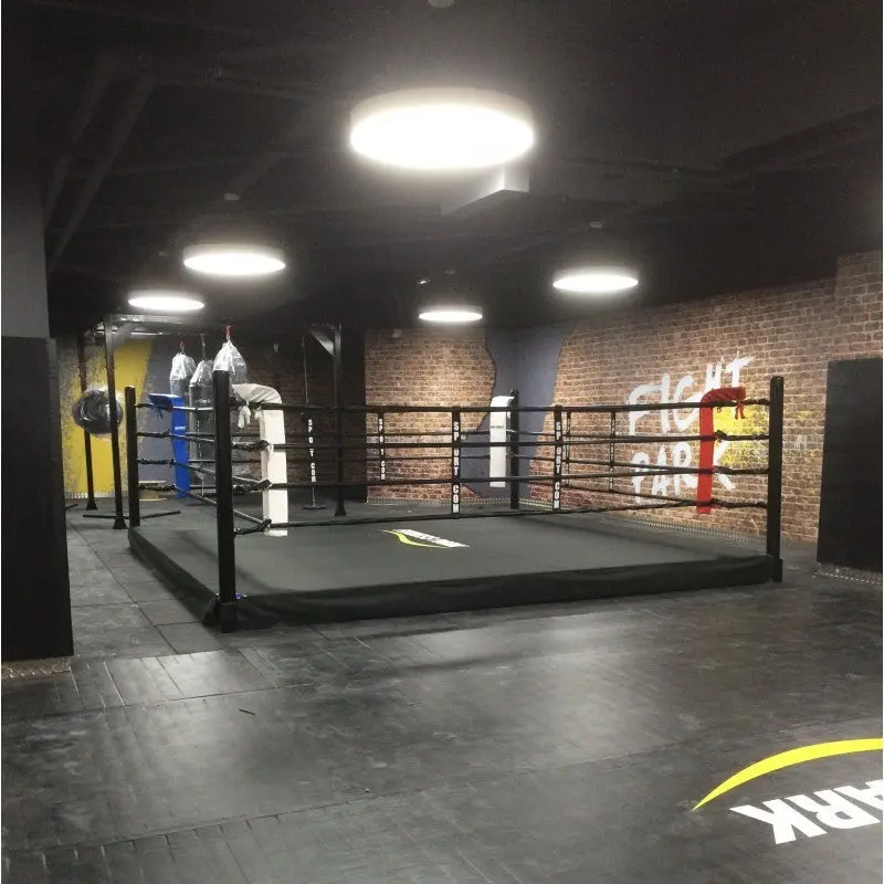 Pro-Trainingsboxring mit 30 cm Podium