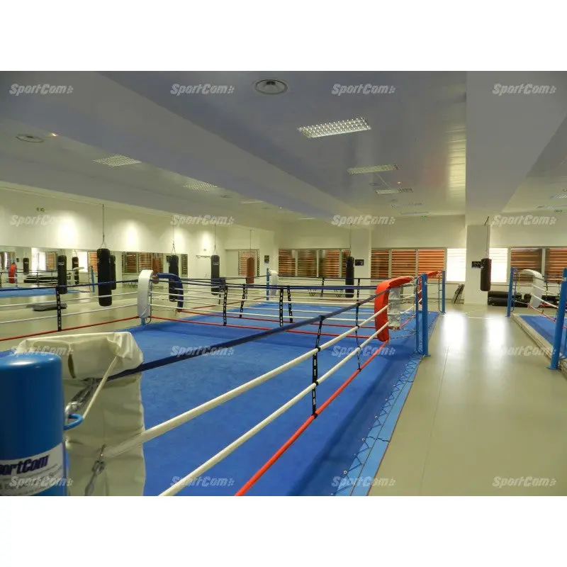 Doppel-Boxring mit Spannseilen – Plane und Matten inklusive