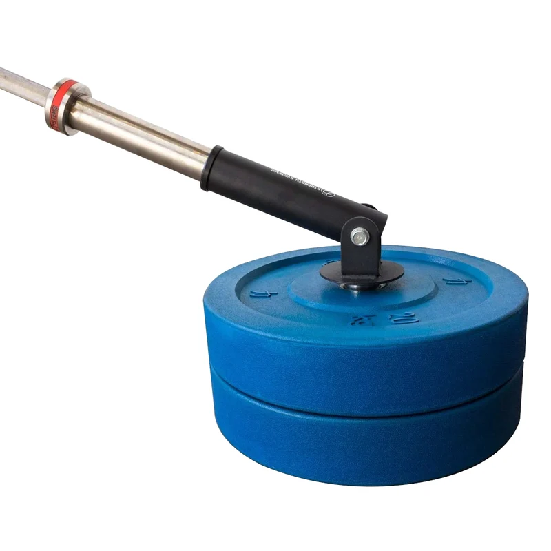 Plate Mounted Core Trainer/T Bar Row