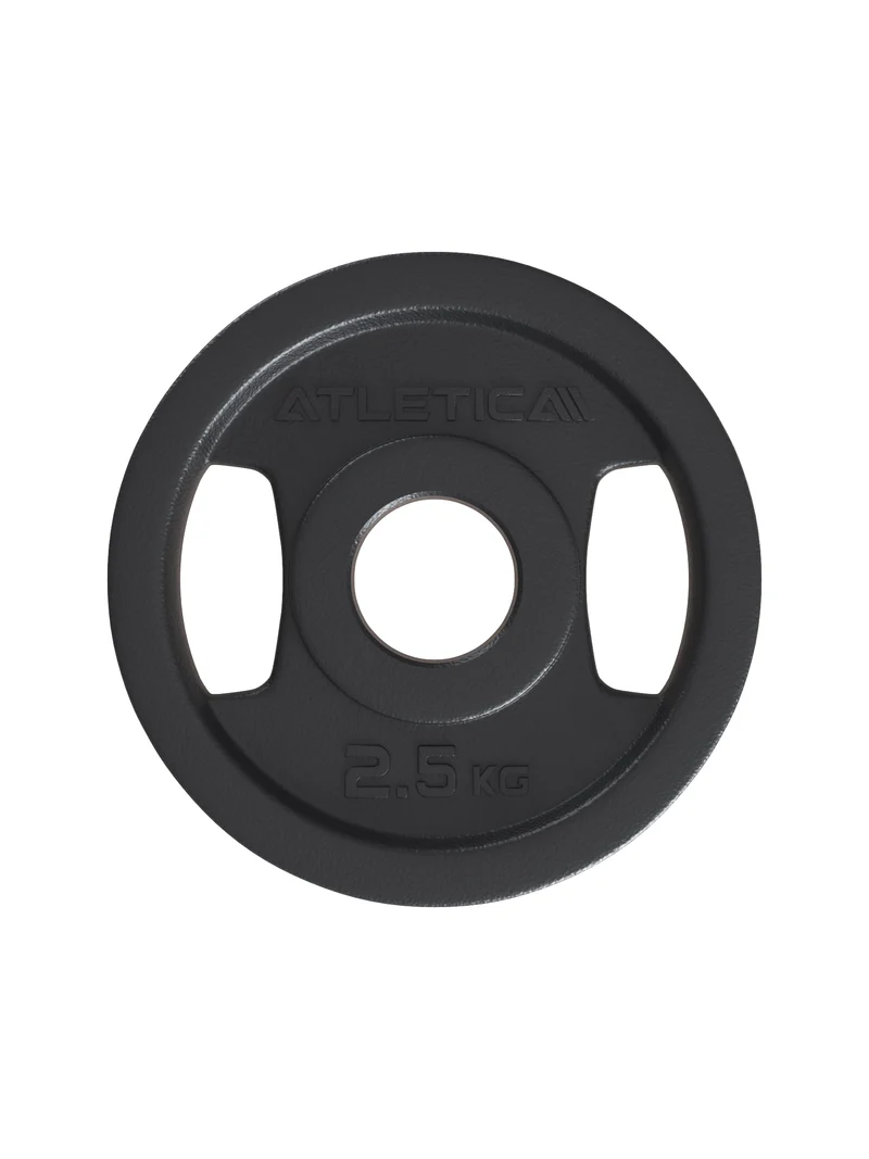 2H Iron Plates | 2.5kg | Paar