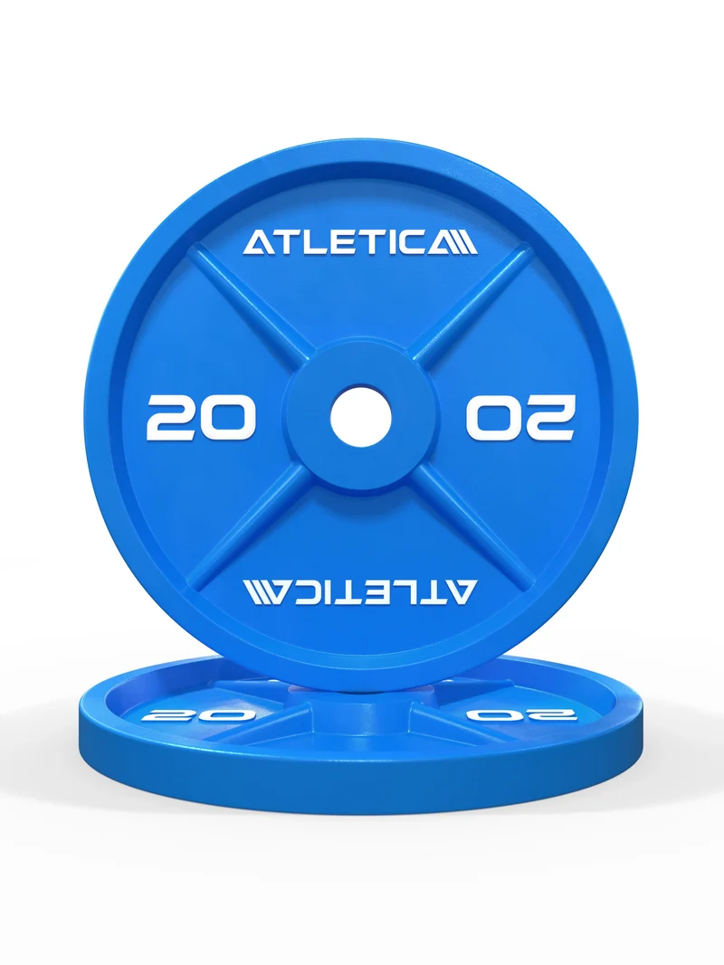 Color Iron Plates I 20kg I Paar