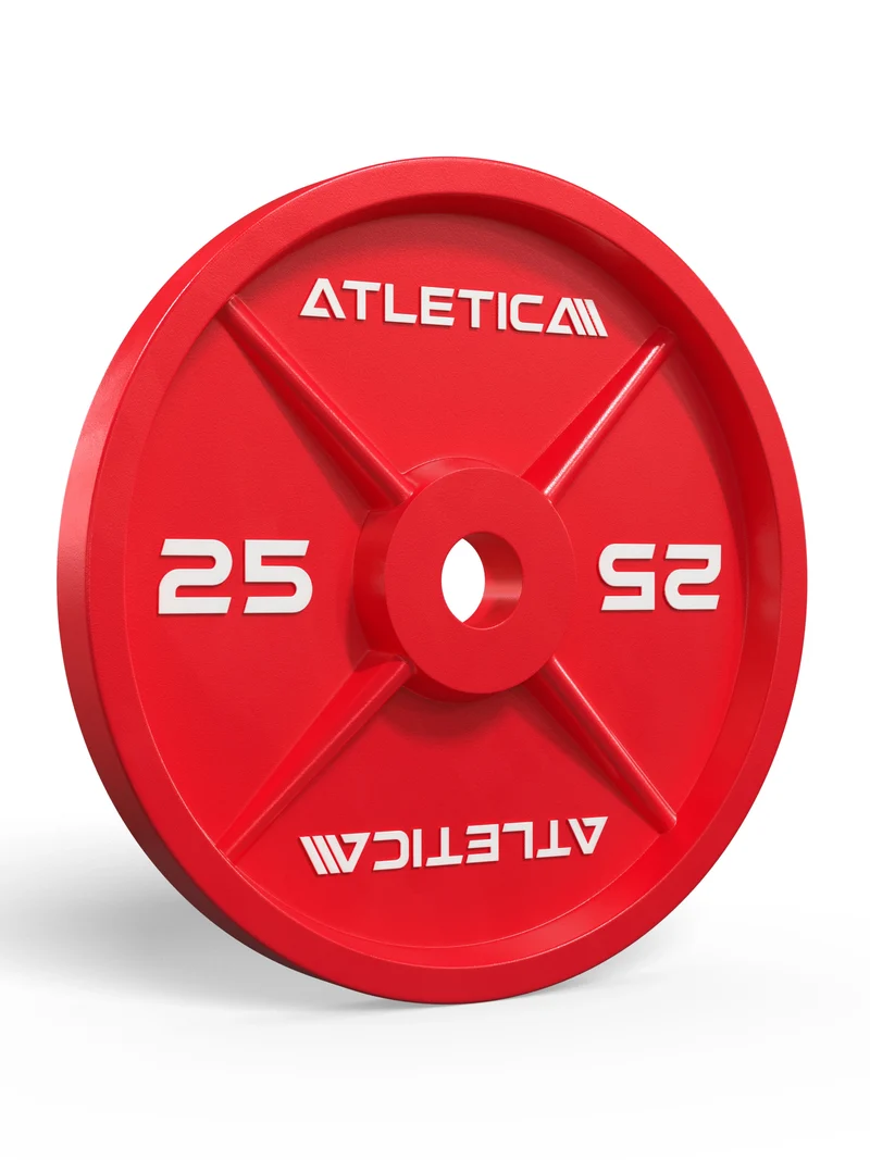 Color Iron Plates I 25kg I Paar