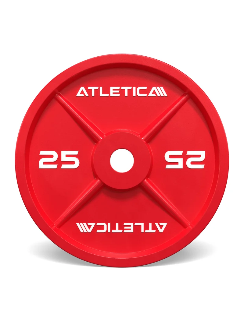 Color Iron Plates I 25kg I Paar