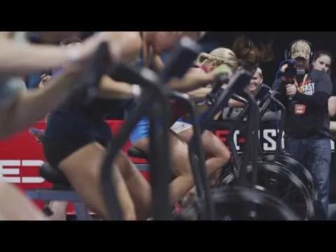 Schwinn Ergometer Airdyne AD8 Pro