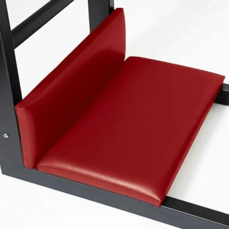 Elina Pilates Elite Ladder Barrel – Steel Base Studio-Qualität Profi