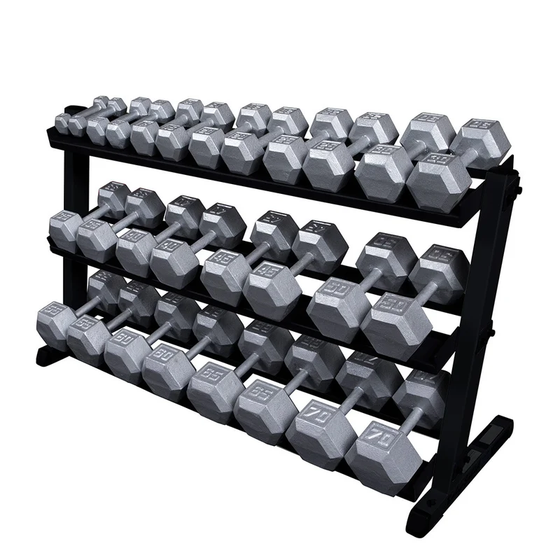 Body-Solid 60 Inch Dumbbell Rack – 30-Pair Steel Weight Storage With Angled Trays