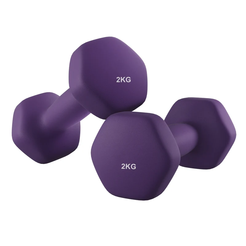 Hantel-Set 2 x 2 kg Lila