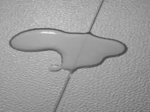 Tuff Seal tiles