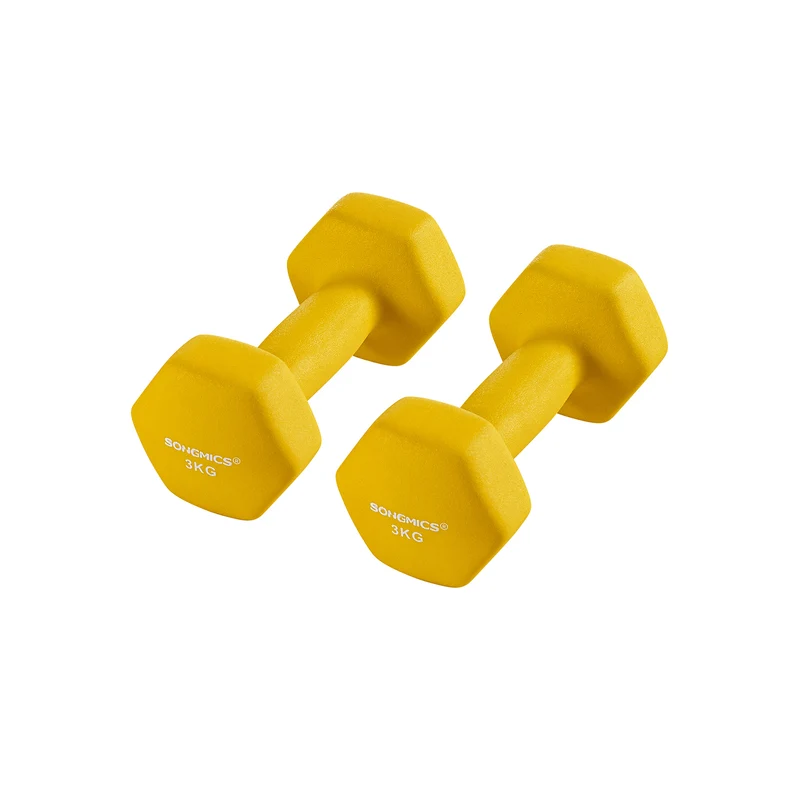 Kurzhanteln 2er Set 2 x 3 kg