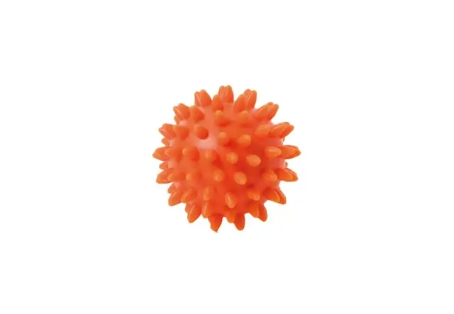 Igelball Togu® Klassik für Therapie und Gymnastik