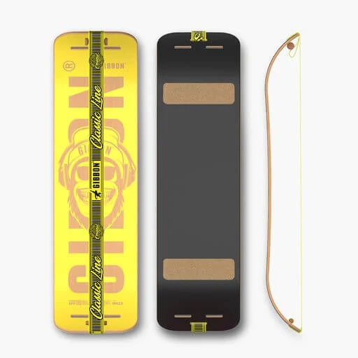 Balancebrett Gibbon GIBOARD Set für Physiotherapie