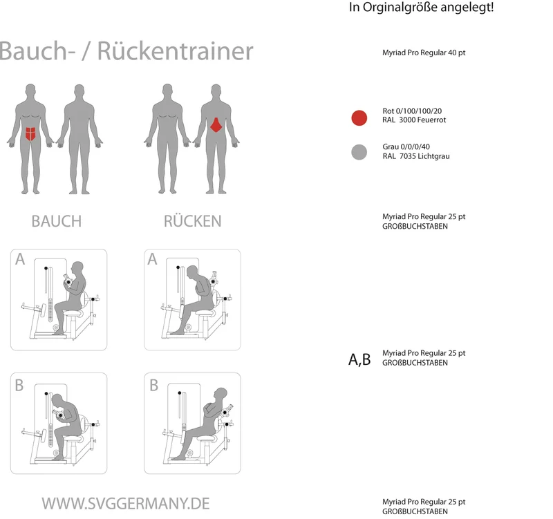 Professioneller Rücken- und Bauchtrainer Reha-Line 2.0 mit Gewichten