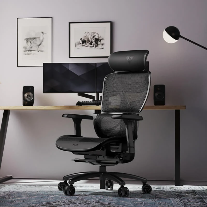 Thunderx3 Silla de Escritorio Ergonómica XTC Mesh