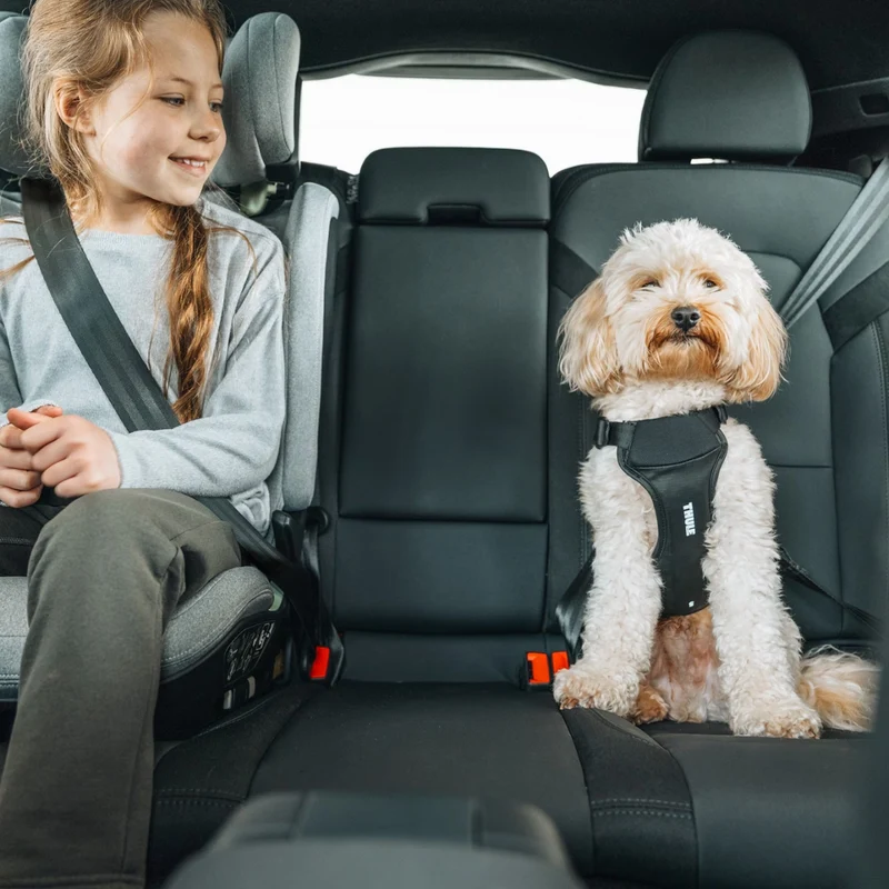 Thule Arnés de Seguridad para Perros en Automóvil Cappy