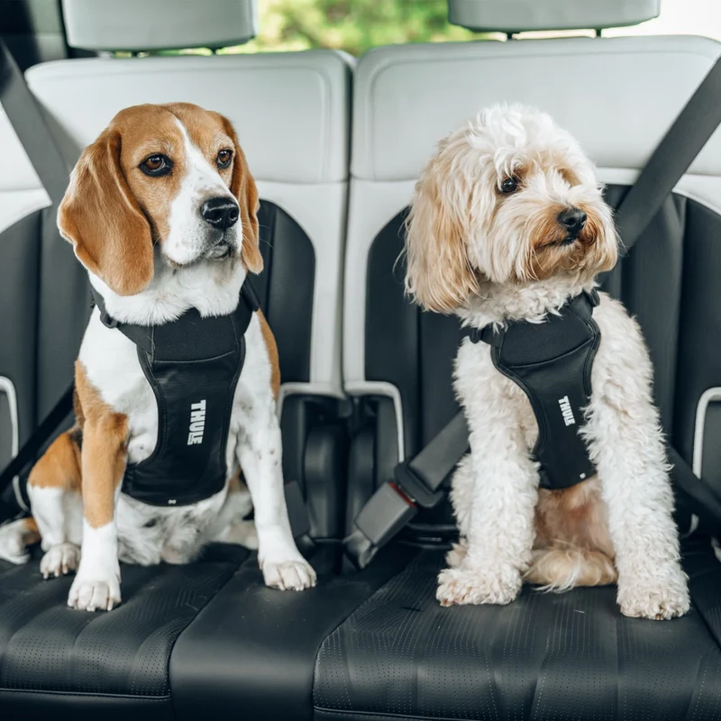 Thule Arnés de Seguridad para Perros en Automóvil Cappy