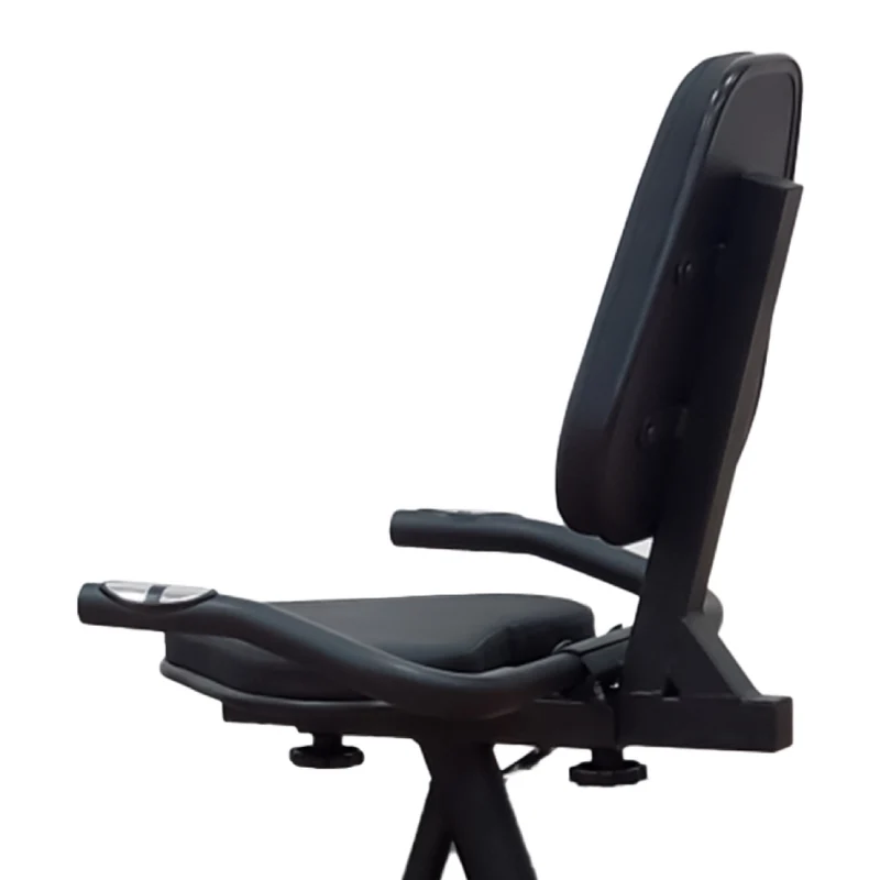 Everlast Bicicleta Recumbente Magnética Ajustable Deluxe, EVRB5E342