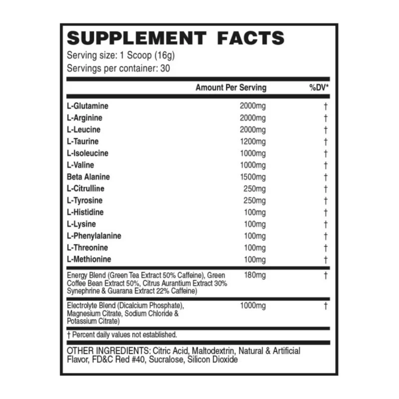 LanderFit Suplemento Alimenticio Aminoácidos + Electrolitos, 480 g