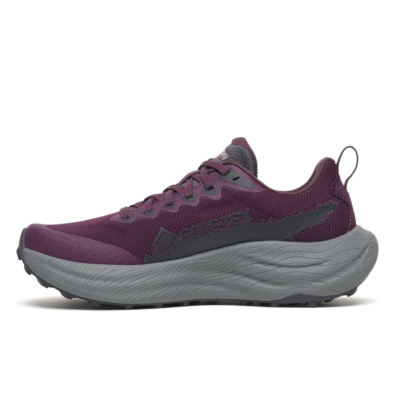 Saucony Ride TR3 GTX, Damen, Eggplant/Ebony