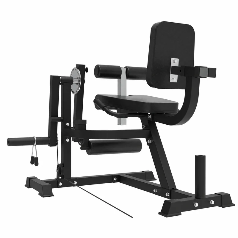 Beinstrecker und -beuger