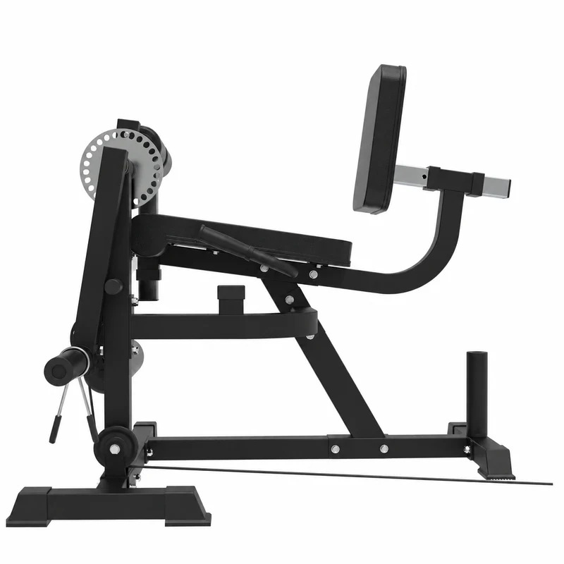 Beinstrecker und -beuger