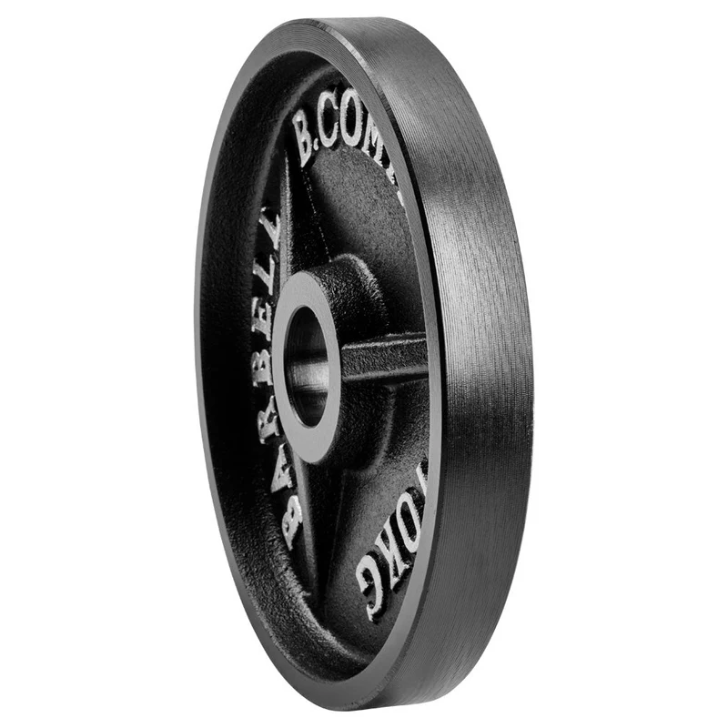 Guss Hantelscheiben 50/51 mm