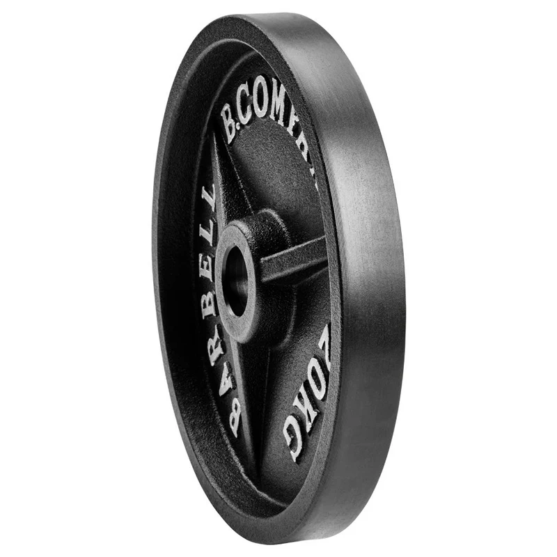 Guss Hantelscheiben 50/51 mm